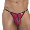 CandyMan String Oshi Bordeaux